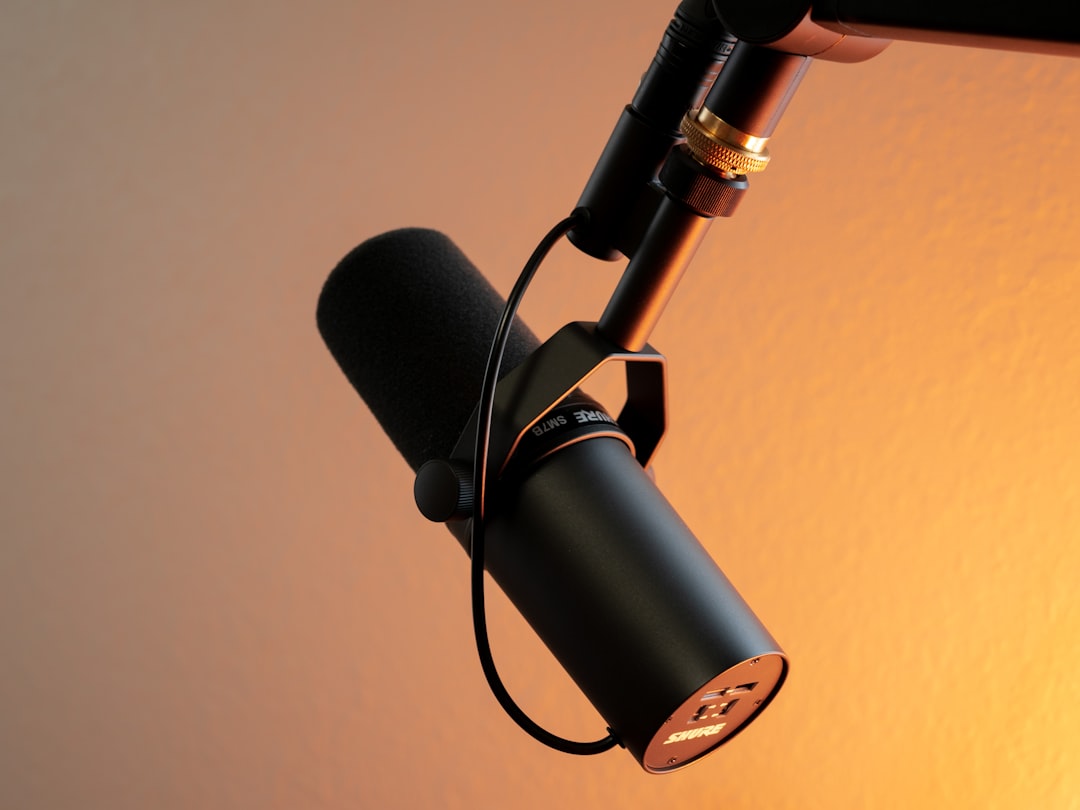 home-services-03 black-and-silver-microphone-on-brown-wall-qruwi3ur3ak